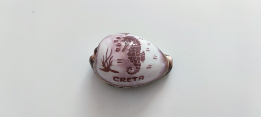 Coquillage décoratif avec motif hippocampe